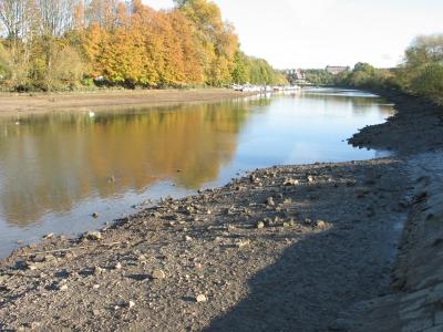 Looking downriver from Ham Street car park.