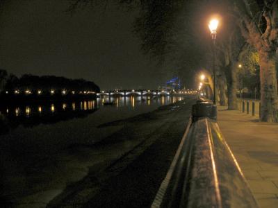 Embankment, view from Beverley Brook bridge.