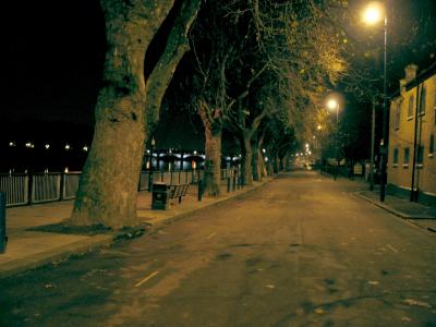 Embankment, view from Beverley Brook bridge.