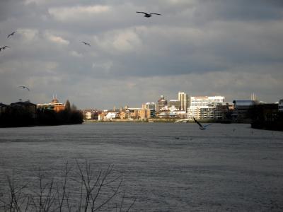 The sun shines on Fulham.