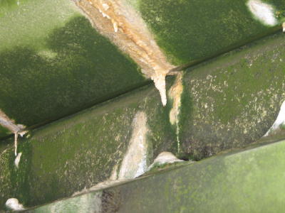 Stalagtites under the bridge.