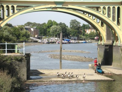 Canoeist portaging through Richmond lock.