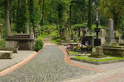 Cmentarz  £yczakowski