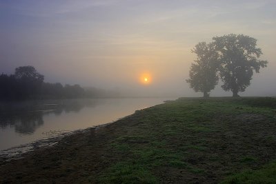 g3/50/564550/3/102848098.ZQ54tqWI.jpg