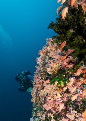 DSC_0090.jpg