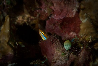 DSC_0019-2.jpg