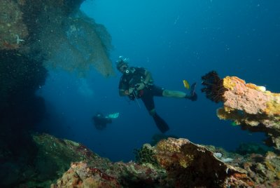 DSC_0107.jpg