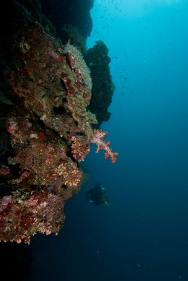 DSC_0112.jpg