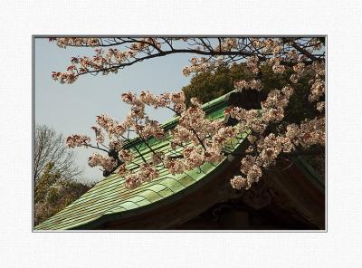 Ueno Park