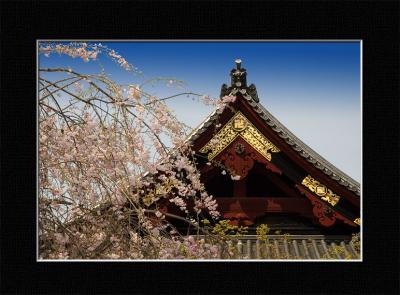 Ueno Park