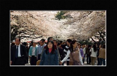 Ueno Park