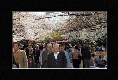Ueno Park