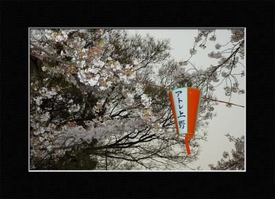 Ueno Park