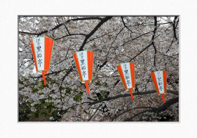 Hanami