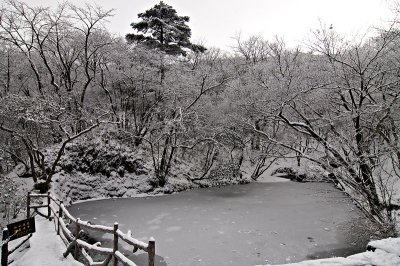 Frozen Pond