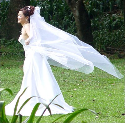 The Happy Bride