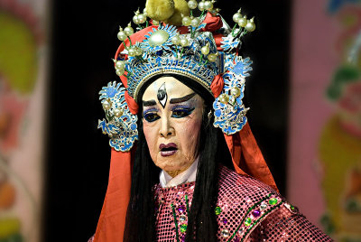 Nine Emperor Gods Festival:2007