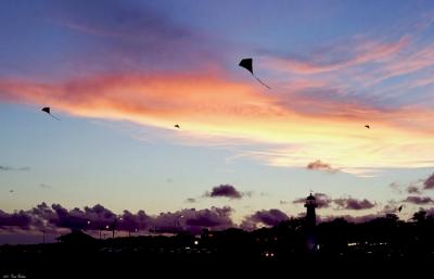 Kites at Sunset