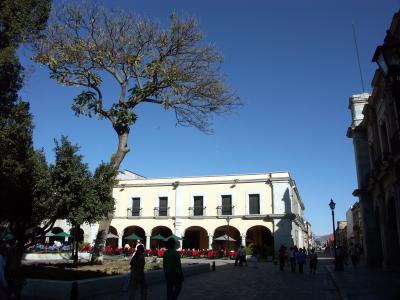 Oaxaca zocalo