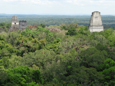 Tikal/view from Temple IV