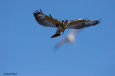 IMG_8508-2.jpg