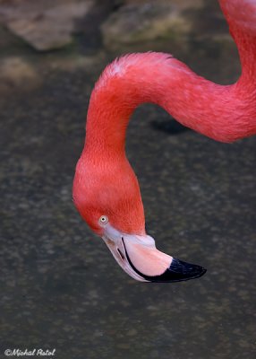 IMG_8690.jpg