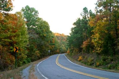 Fall Roadside