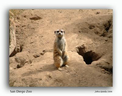 17 San Diego Zoo 2.jpg