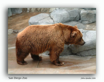 18 San Diego Zoo 3.jpg