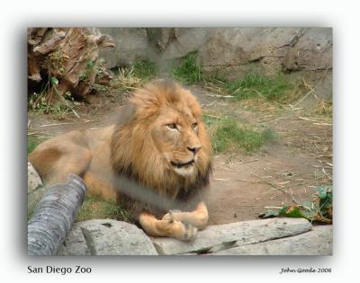19 San Diego Zoo 4.jpg