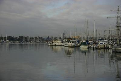 Shoreline Marina