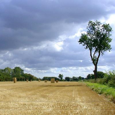 Harvest Derbyshire