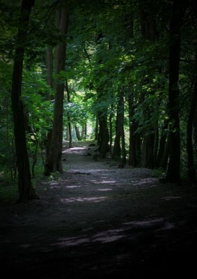 Lindego Forest