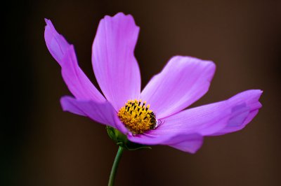 _DSC6325.web..jpg
