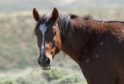 _DSC0498.web..jpg