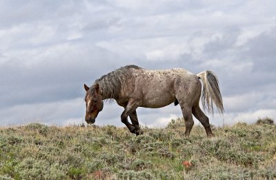 _DSC0409.web.jpg