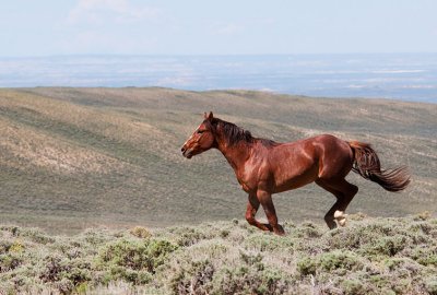 _DSC0540.web.jpg