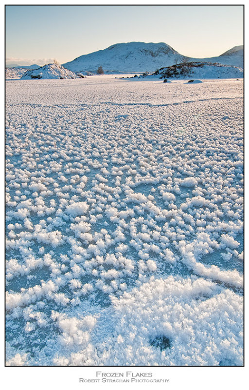 Frozen Flakes