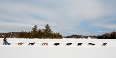 Course de traineaux  chiens (4), Ste-Agathe, 2010