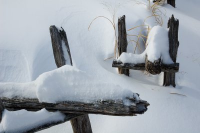 Sous la neige (sans texte)