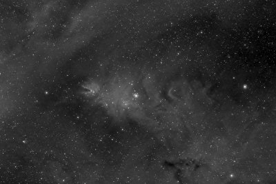Cone Nebula area in Ha grayscale