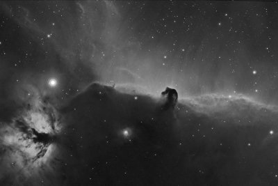 Horse Head and Flame Nebulas in Ha