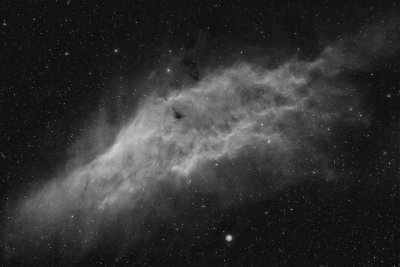 NGC1499 The California Nebula in Ha grayscale