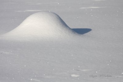  A Snow Bump