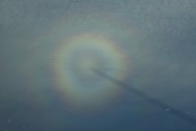 Halo around aircraft nose and contrail shadow
Looks like arrow in the center of target