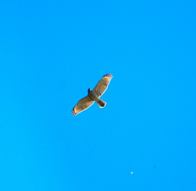 g3/50/758950/3/88094666.93Kmfxi8.jpg