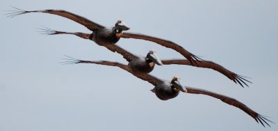 DSC_3608_80.jpg