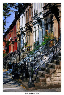 brooklyn.neighborhood.jpg