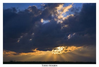 _MG_0384.jpg
