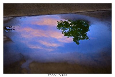 _MG_6972.jpg